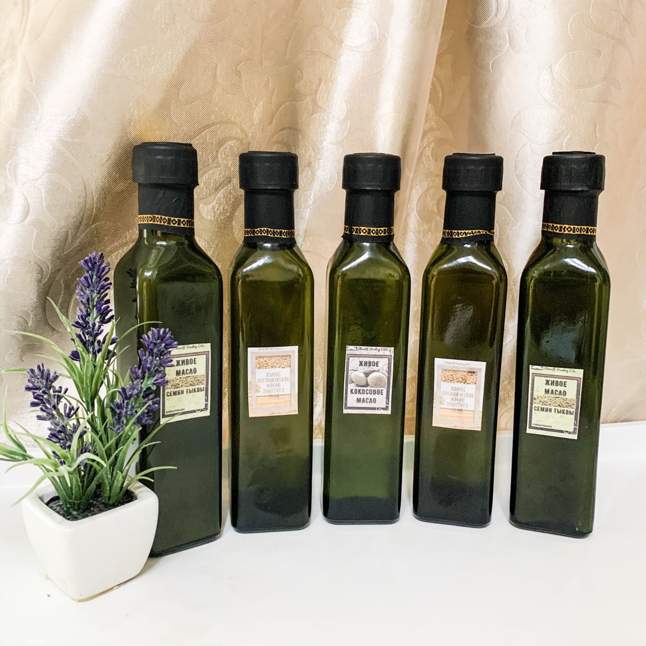 ������� �����